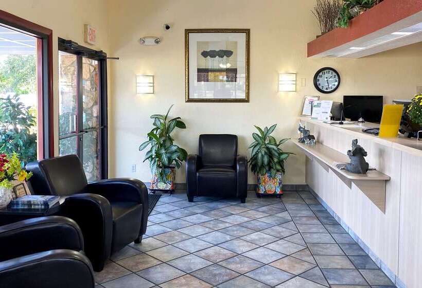 فندق على الطريق Knights Inn Punta Gorda