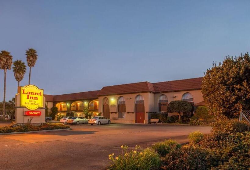 מוטל Laurel Inn & Conference Center