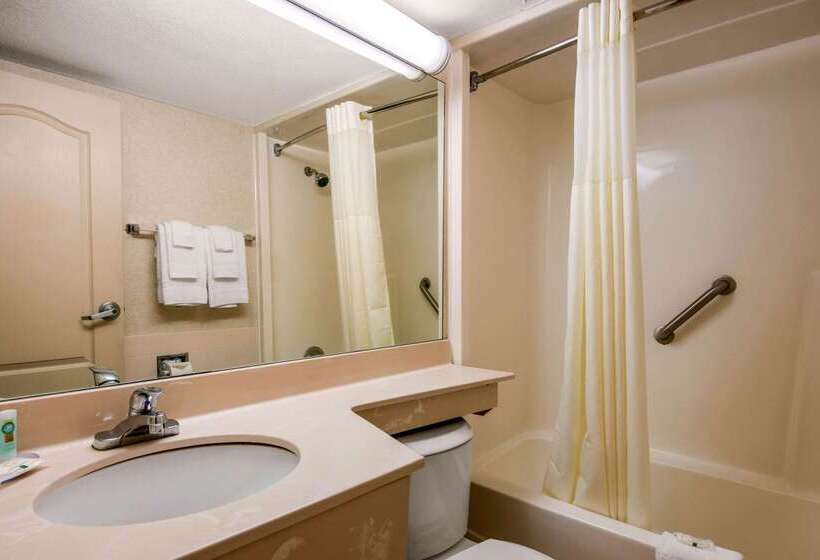 리조트 Quality Inn & Suites Tarpon Springs South