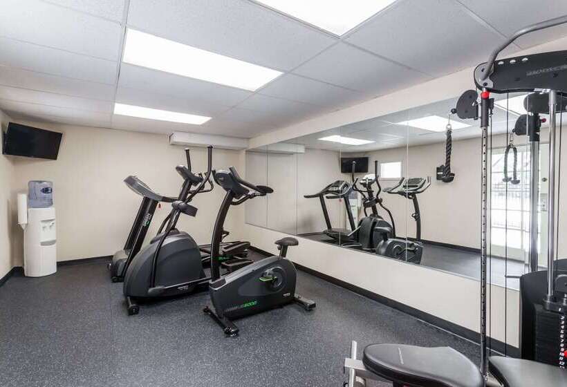 בית מלון כפרי Baymont By Wyndham Sarasota