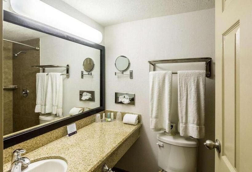 هتل Clarion Inn Near Mcallen Airport