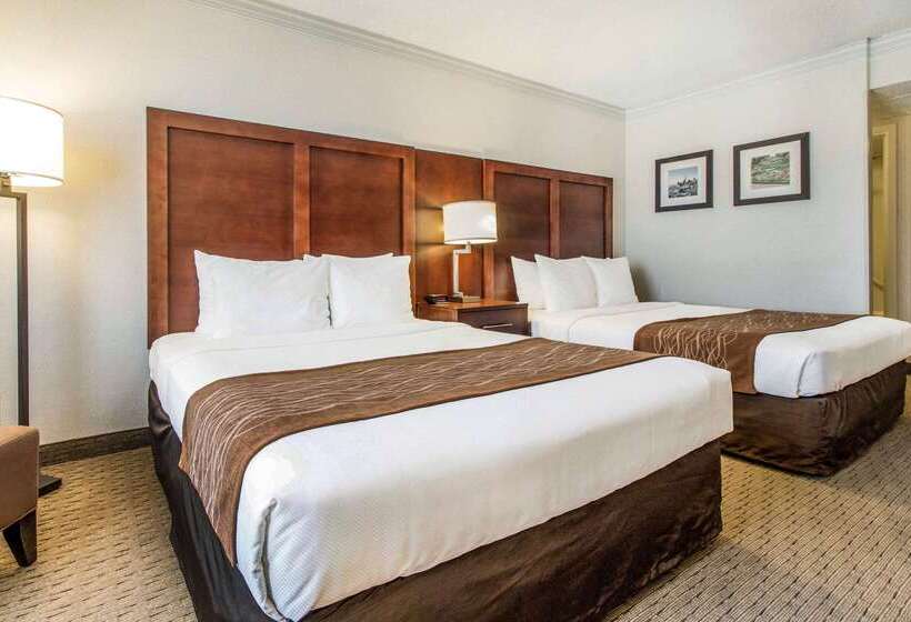 هتل Comfort Inn By The Bay