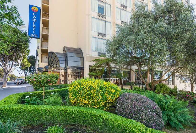 هتل Comfort Inn By The Bay