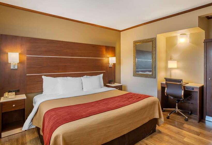 هتل Comfort Inn San Diego Airport At The Harbor