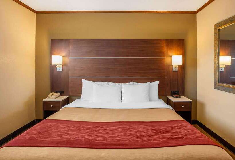 هتل Comfort Inn San Diego Airport At The Harbor