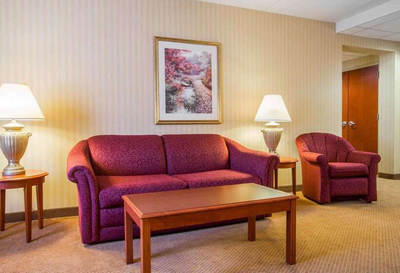 فندق Comfort Inn & Suites