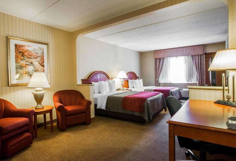 فندق Comfort Inn & Suites