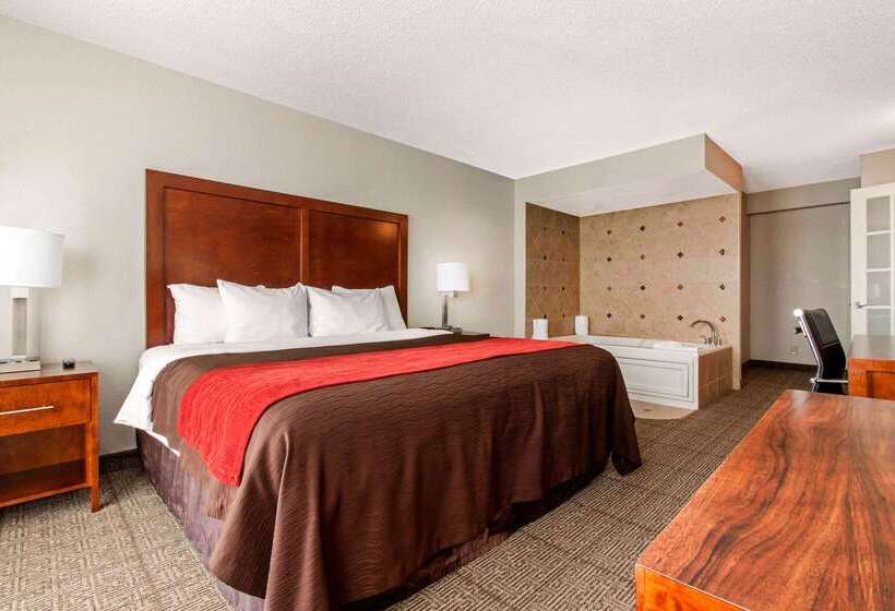 Hotel Comfort Inn & Suites Omaha Central