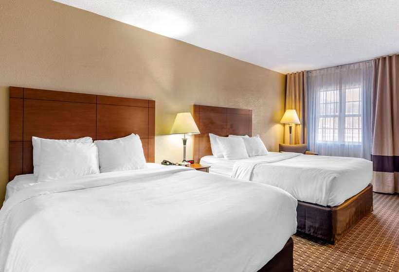 酒店 Comfort Inn & Suites Raphine  Lexington Near I81 And I64