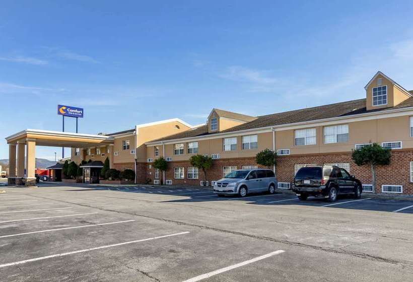 فندق Comfort Inn & Suites Raphine  Lexington Near I81 And I64