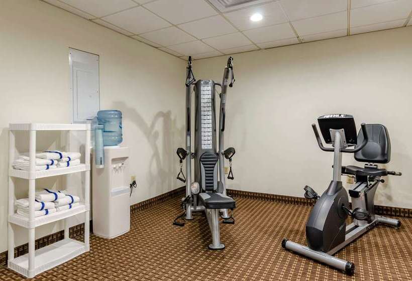 酒店 Comfort Inn & Suites Raphine  Lexington Near I81 And I64