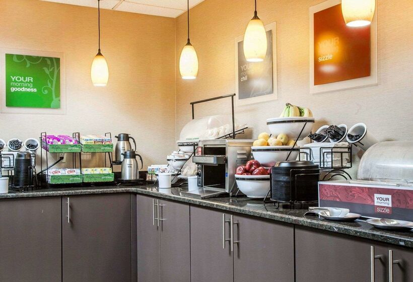 酒店 Comfort Inn & Suites Sturbridgebrimfield