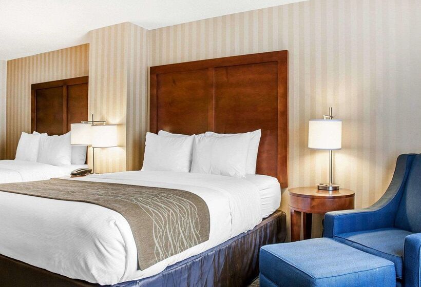酒店 Comfort Inn & Suites Sturbridgebrimfield