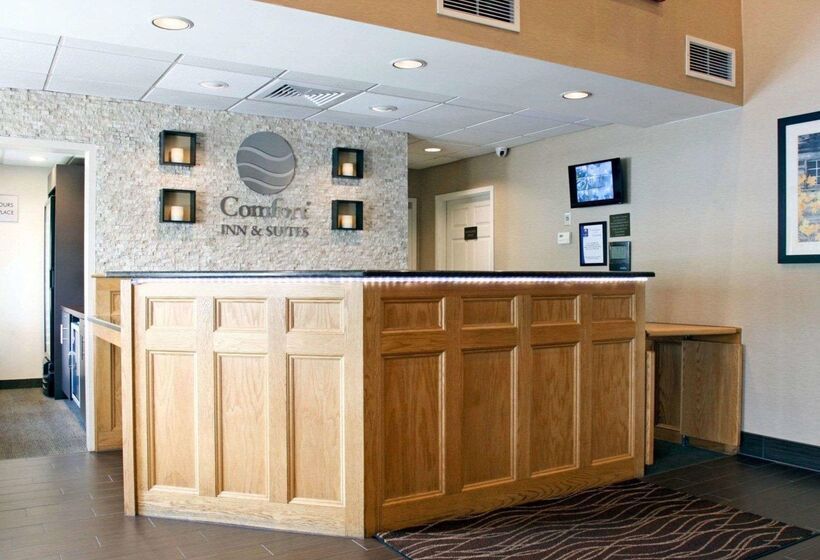 酒店 Comfort Inn & Suites Sturbridgebrimfield
