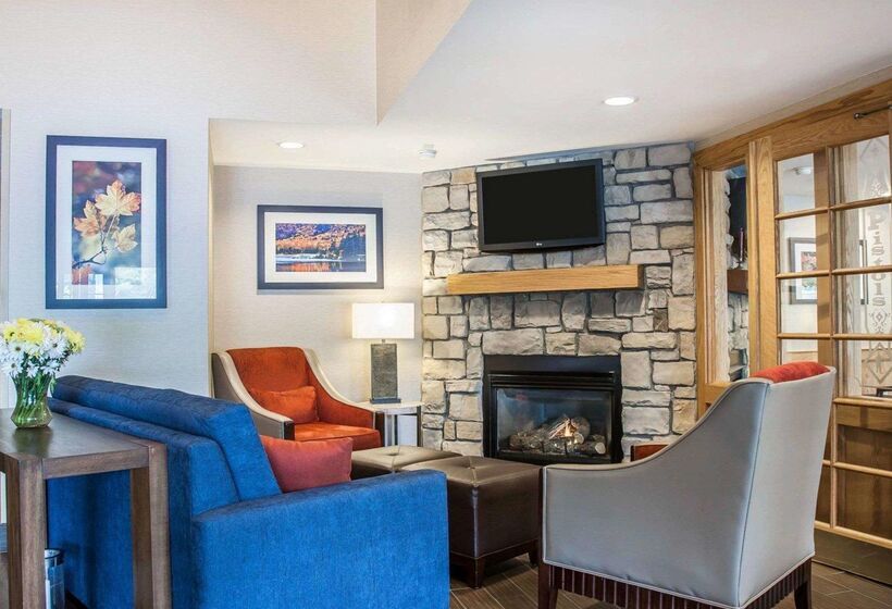 هتل Comfort Inn & Suites Sturbridgebrimfield