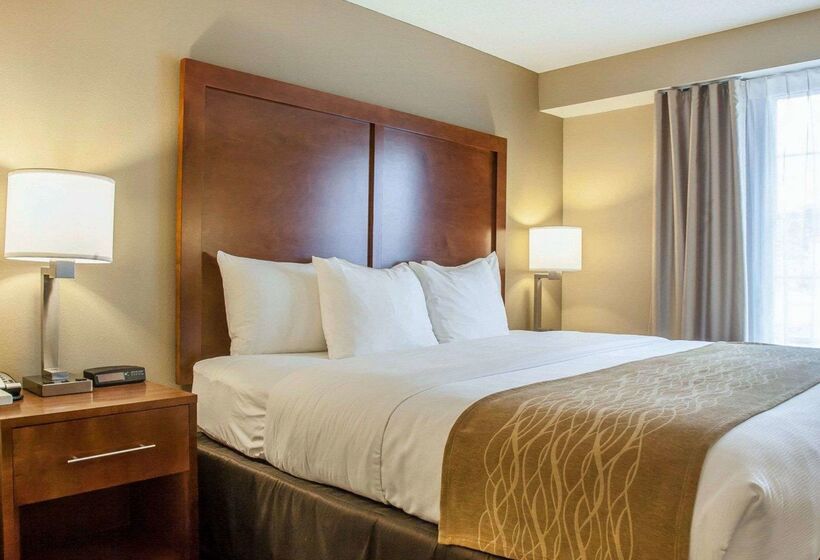 酒店 Comfort Inn & Suites Sturbridgebrimfield