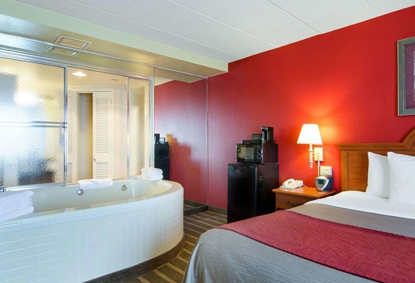 酒店 Comfort Inn University Center