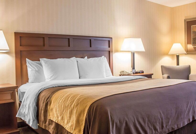 Hotel Comfort Inn Wethersfield  Hartford