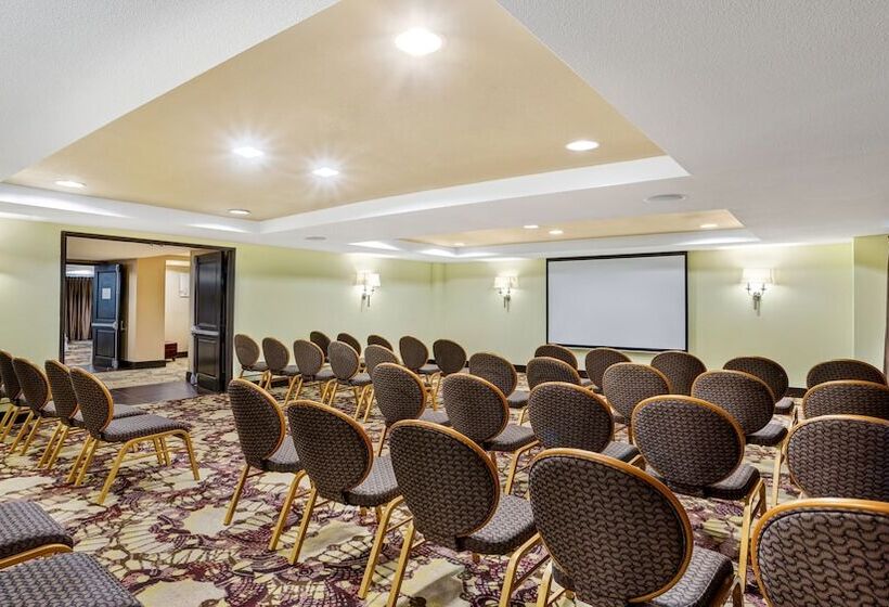 Fotos del hotel Crowne Plaza Houston Galleria Area, An Ihg:  29