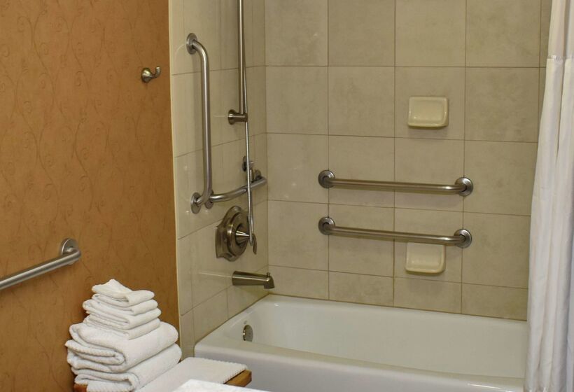 هتل Doubletree By Hilton Asheville Biltmore