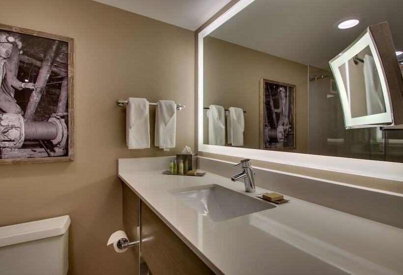 هتل Doubletree By Hilton Mt. Vernon