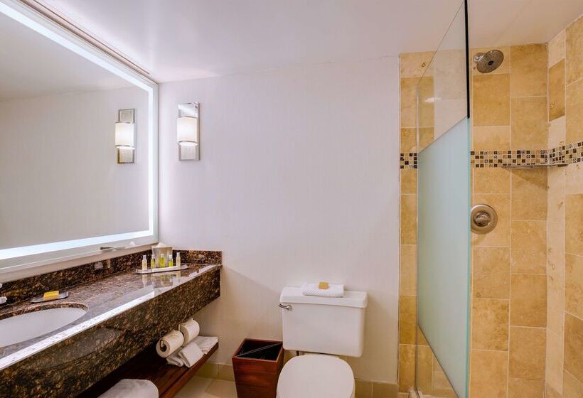 Отель Doubletree Suites By Hilton Htl & Conf Cntr Downers Grove