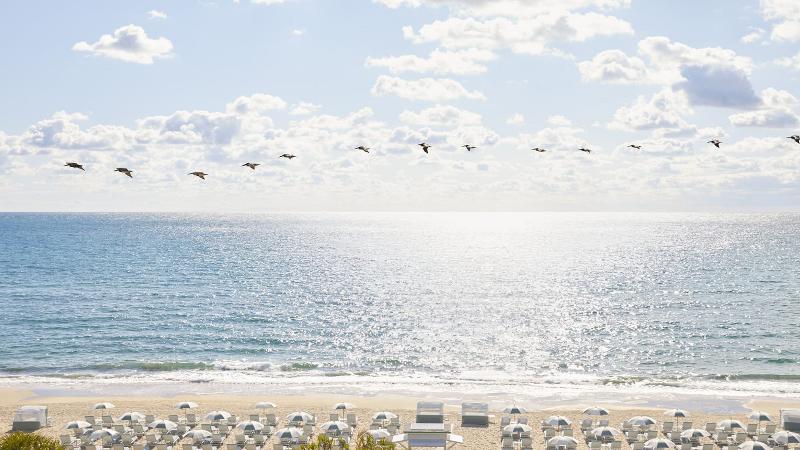 هتل Four Seasons Resort Palm Beach