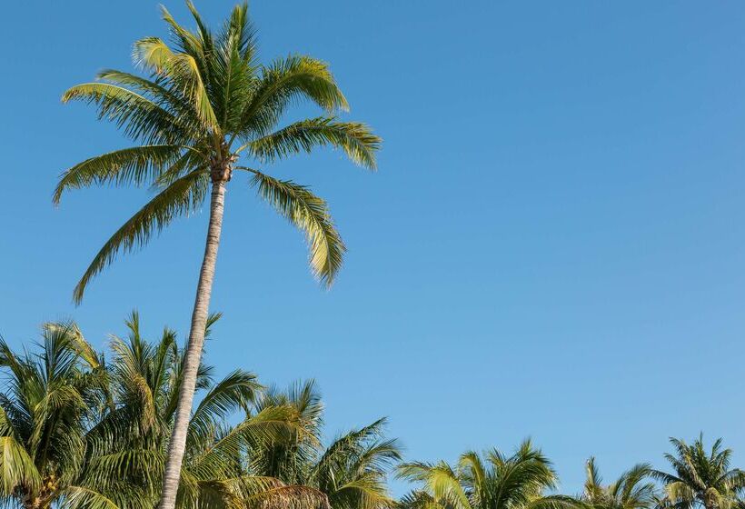 هتل Hilton Garden Inn Key West / The Keys Collection