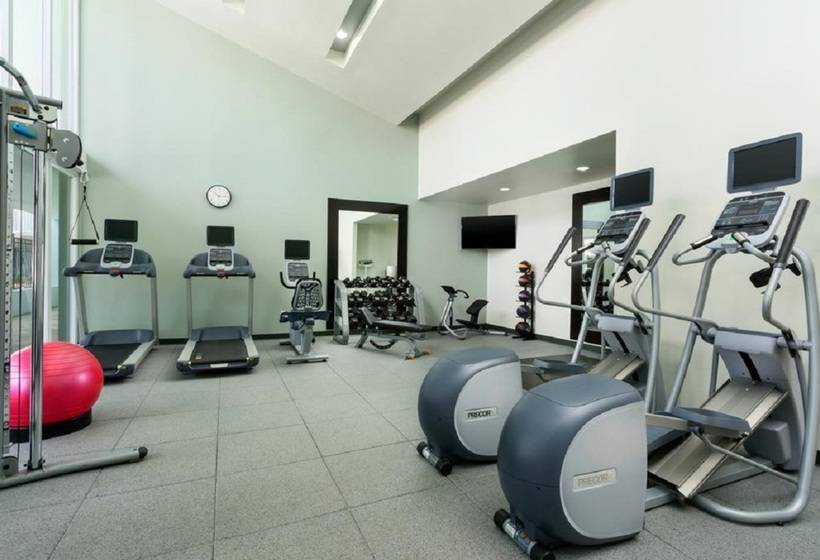 هتل Hilton Garden Inn Key West / The Keys Collection