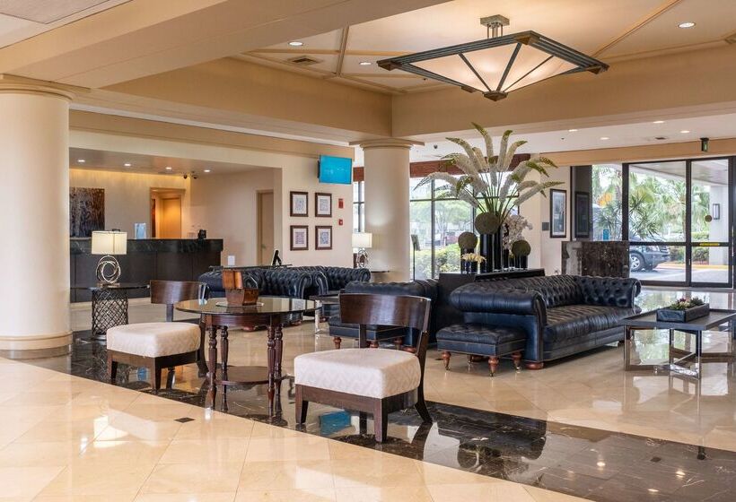 فندق Hilton Palm Beach Pbi