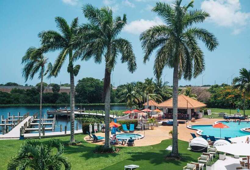 فندق Hilton Palm Beach Pbi