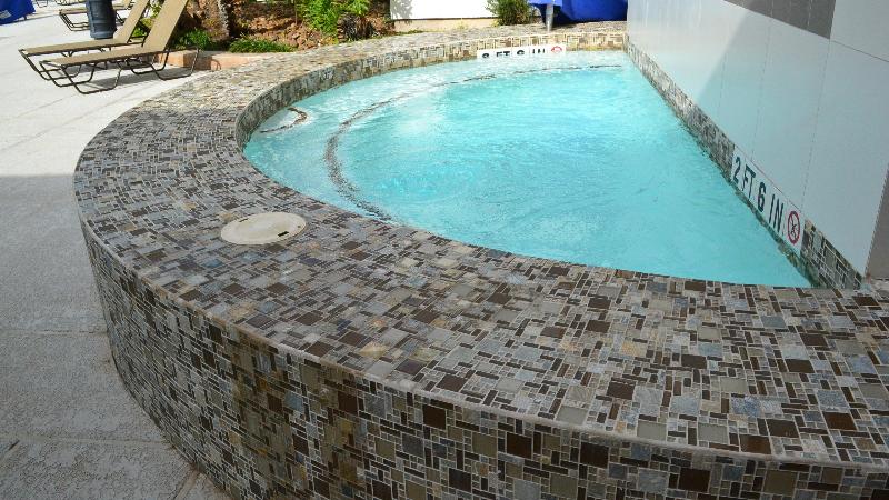 Fotos del hotel Holiday Inn Houston S - Nrg Area - Med Ctr, An Ihg:  18