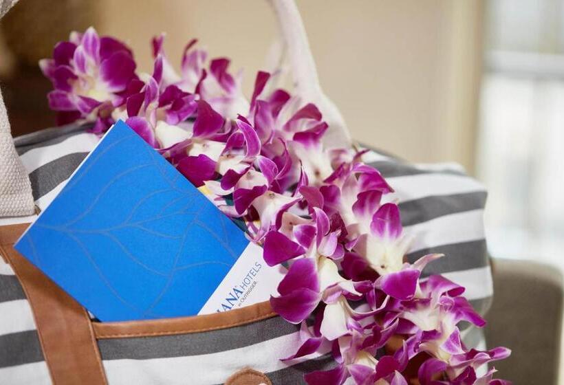 호텔 Outrigger Waikiki Paradise