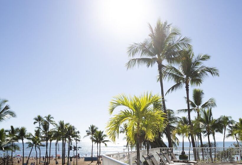 בית מלון כפרי Park Shore Waikiki