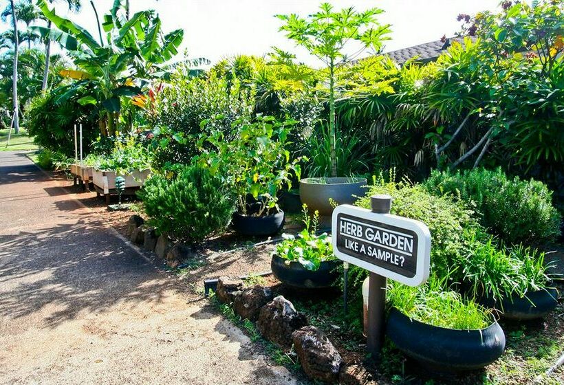 فندق Kauai Beachfront Inn