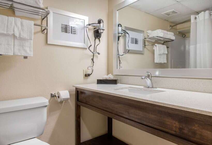 酒店 Quality Inn And Conference Center