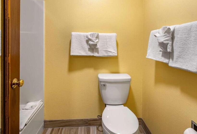 هتل Quality Inn Paradise Creek