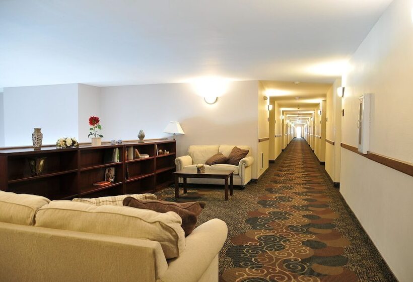 هتل Quality Inn Paradise Creek