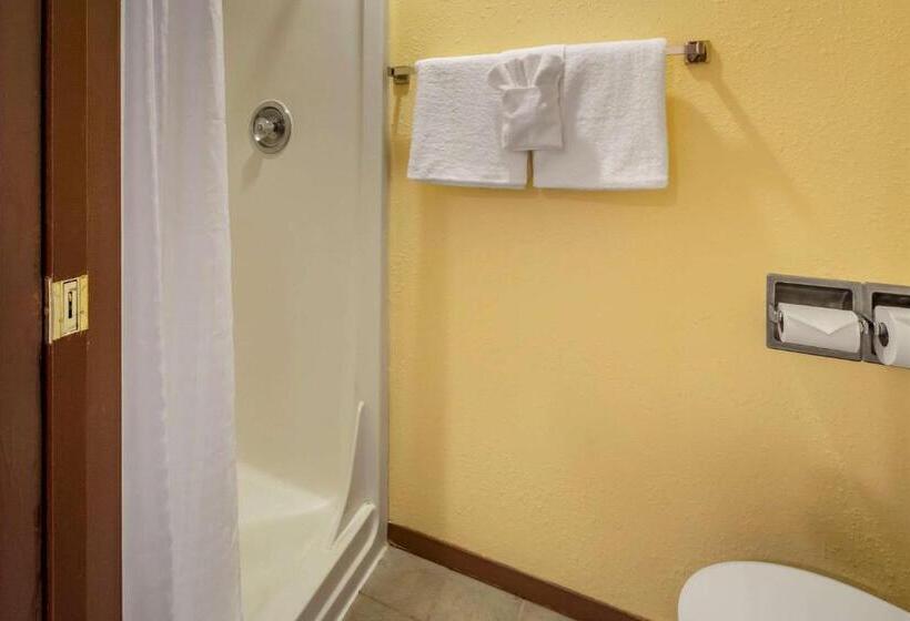 هتل Quality Inn Paradise Creek