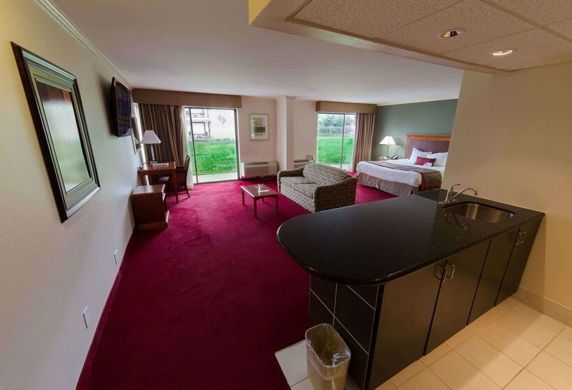 هتل Ramada By Wyndham Houston Intercontinental Airport East