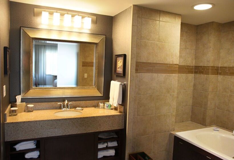 هتل Rochester Mayo Clinic Area