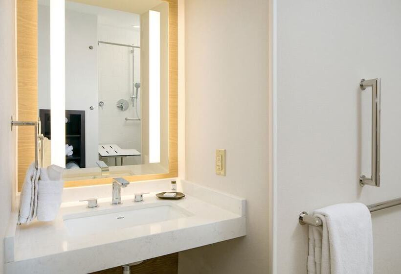 هتل Sheraton Detroit Metro Airport
