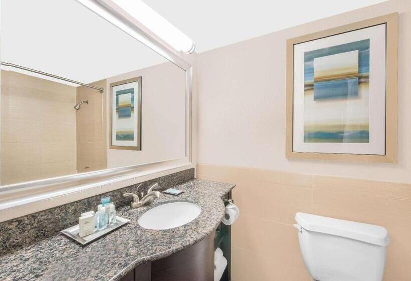 هتل Wyndham Garden Midland