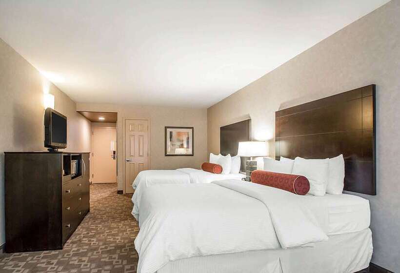 酒店 Clarion Inn Elmhurst  Oak Brook Near I88, I290, I294