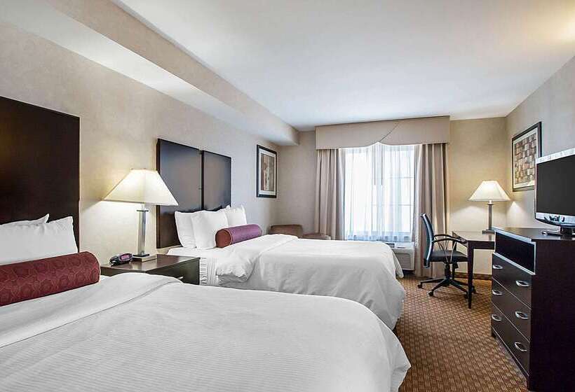 酒店 Clarion Inn Elmhurst  Oak Brook Near I88, I290, I294