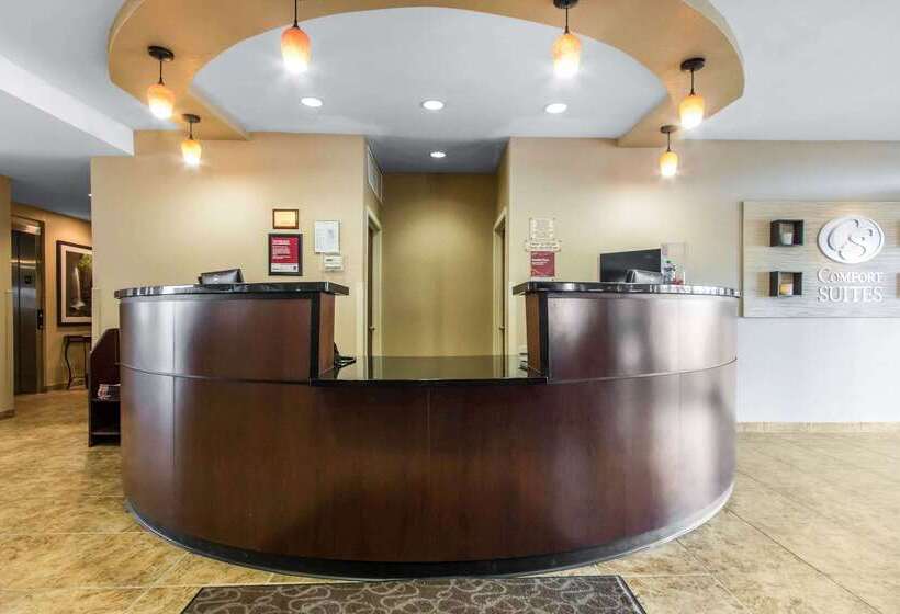 هتل Comfort Suites Cullman I65 Exit 310