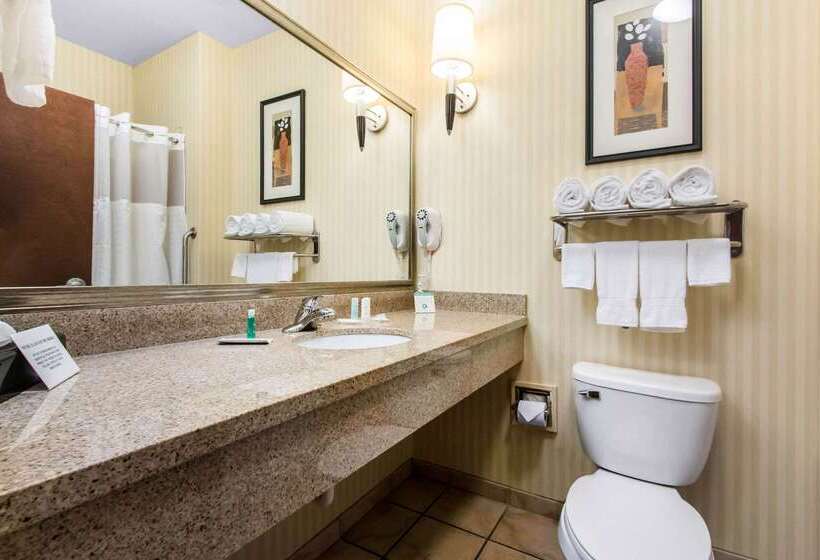هتل Comfort Suites Cullman I65 Exit 310