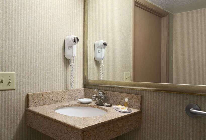 בית מלון כפרי Days Inn By Wyndham Rock Falls