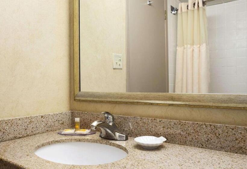 בית מלון כפרי Days Inn By Wyndham Rock Falls