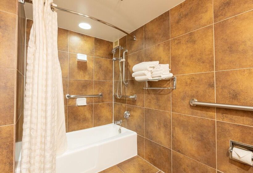 هتل Doubletree By Hilton Dallas Richardson